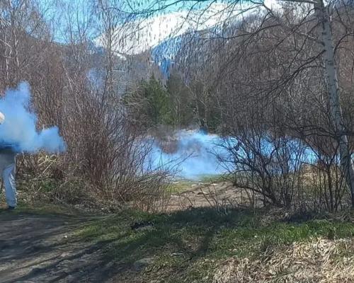 В Риддере началась противоклещевая обработка территорий