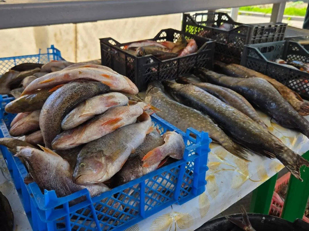 В Усть-Каменогорске организуют две продуктовые ярмарки выходного дня
