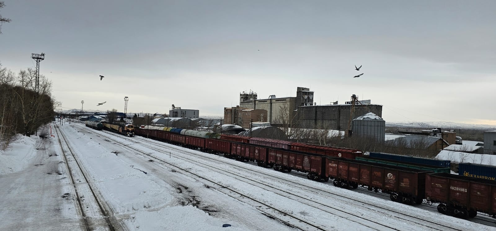 Машинисты поездов 29 раз выполняли экстренное торможение на путях в черте Усть-Каменогорска