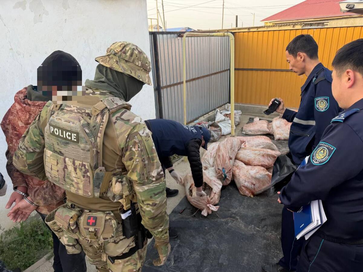 Более 4 тонн рыбы и икры изъяли у браконьеров в Атырауской области