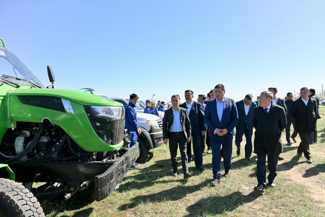 В области Абай усиливают борьбу с саранчой: обработают более 119 тыс. гектаров