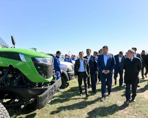 В области Абай усиливают борьбу с саранчой: обработают более 119 тыс. гектаров