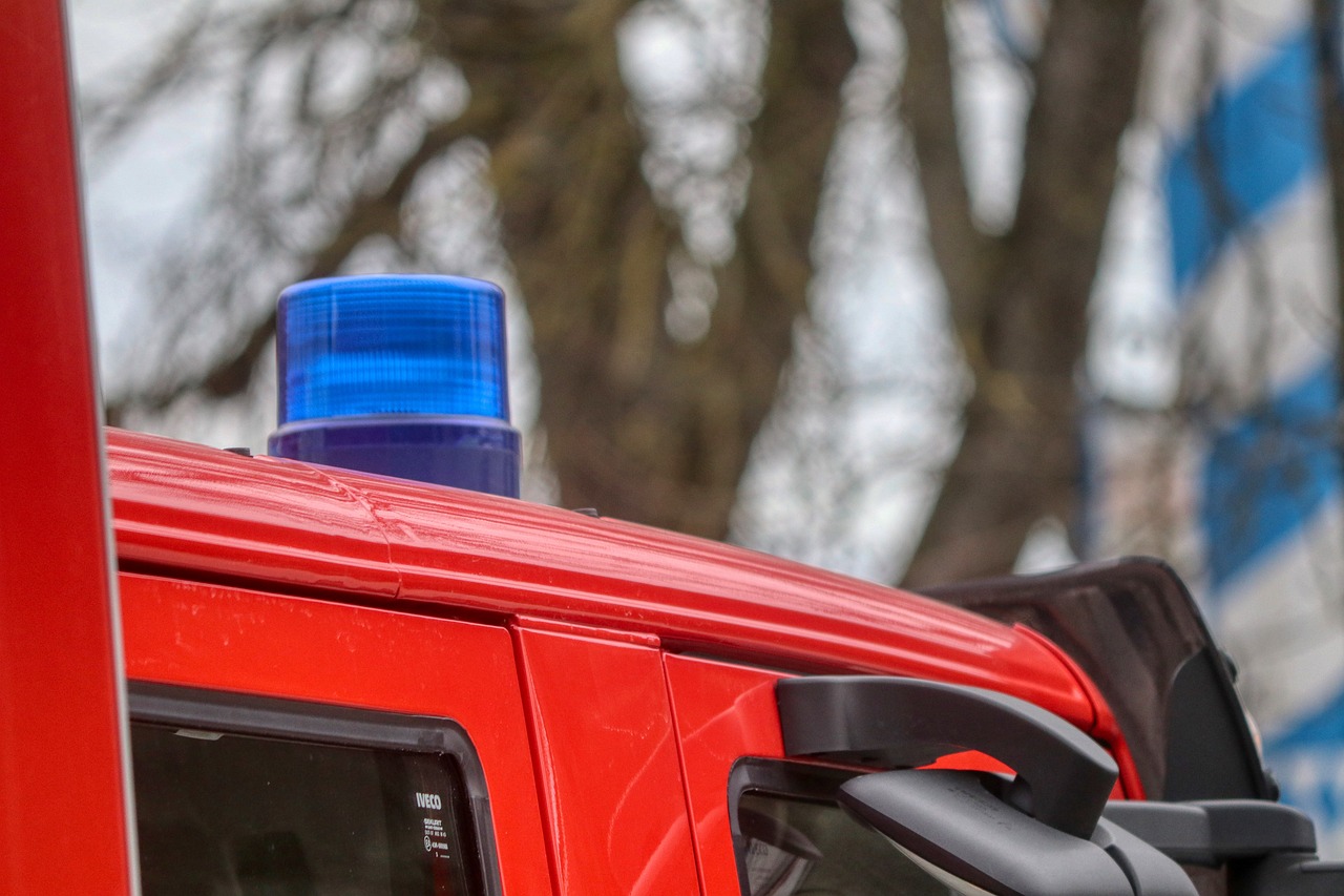 Лес в СКО удалось защитить от пожара при сильном ветре