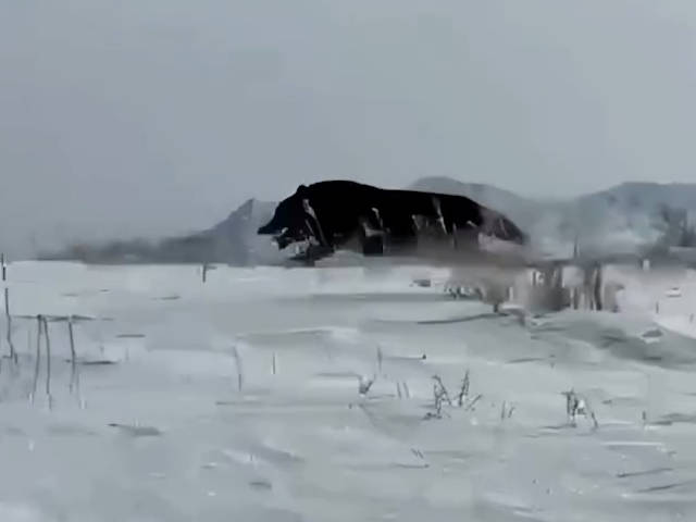 В Восточном Казахстане застрелили редкого волка