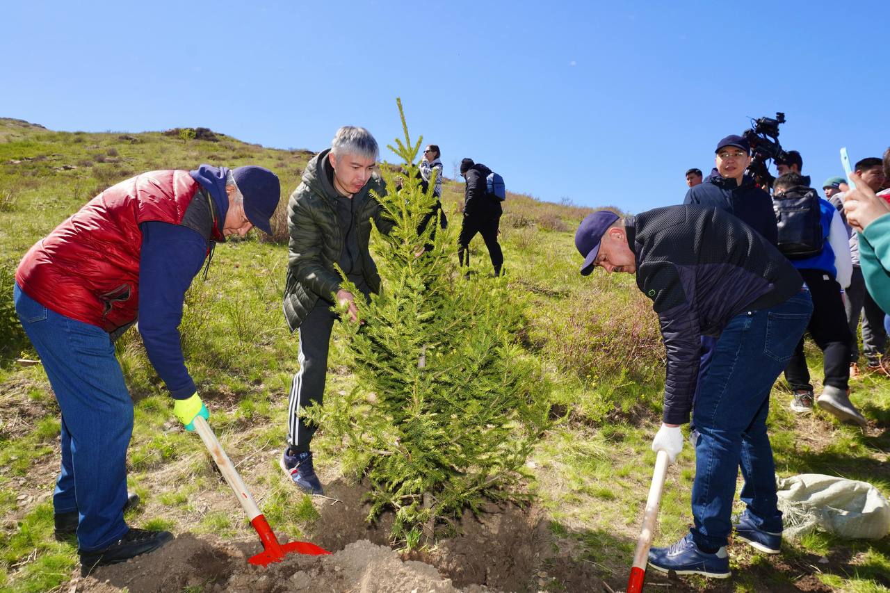 Усть-Каменогорску не хватает зелени, но к 2035 году её количество обещают утроить