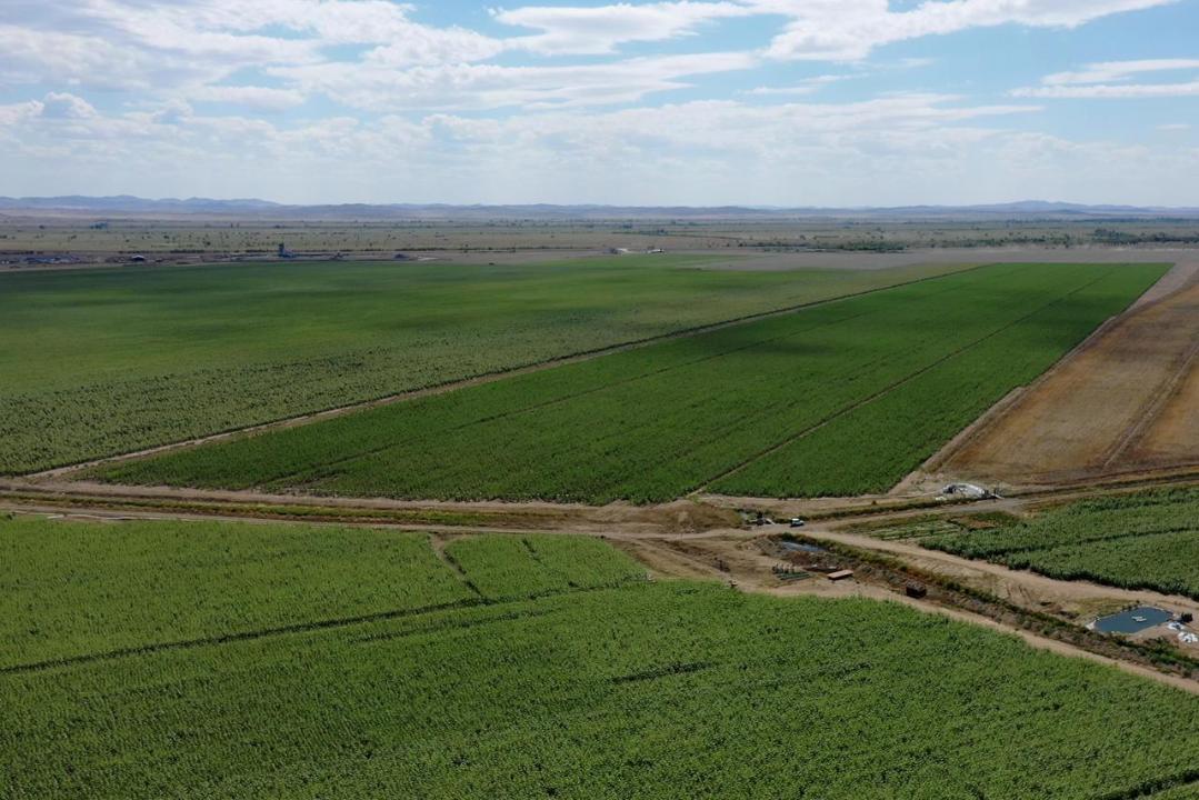 В области Абай  усиливают работу с землями и переселенцами: итоги заседания акимата