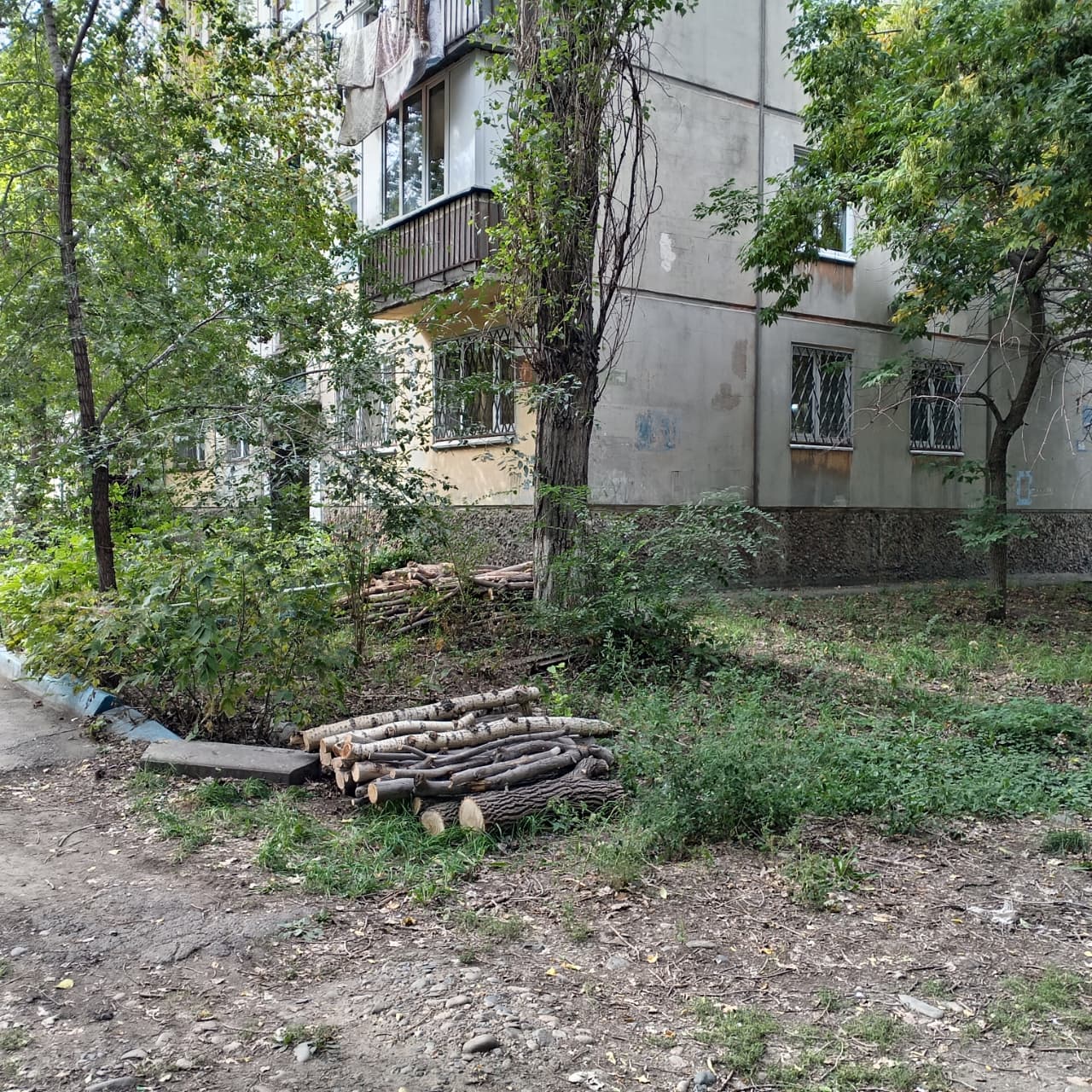 Высохший валежник вспыхнул рядом с детским садом в Усть-Каменогорске