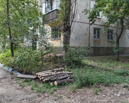 Высохший валежник вспыхнул рядом с детским садом в Усть-Каменогорске
