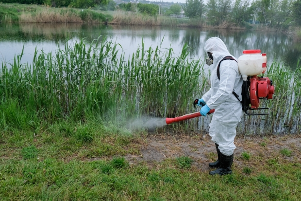 В Павлодаре начали обработку водоёмов от комаров: увеличили число дезинсекторов