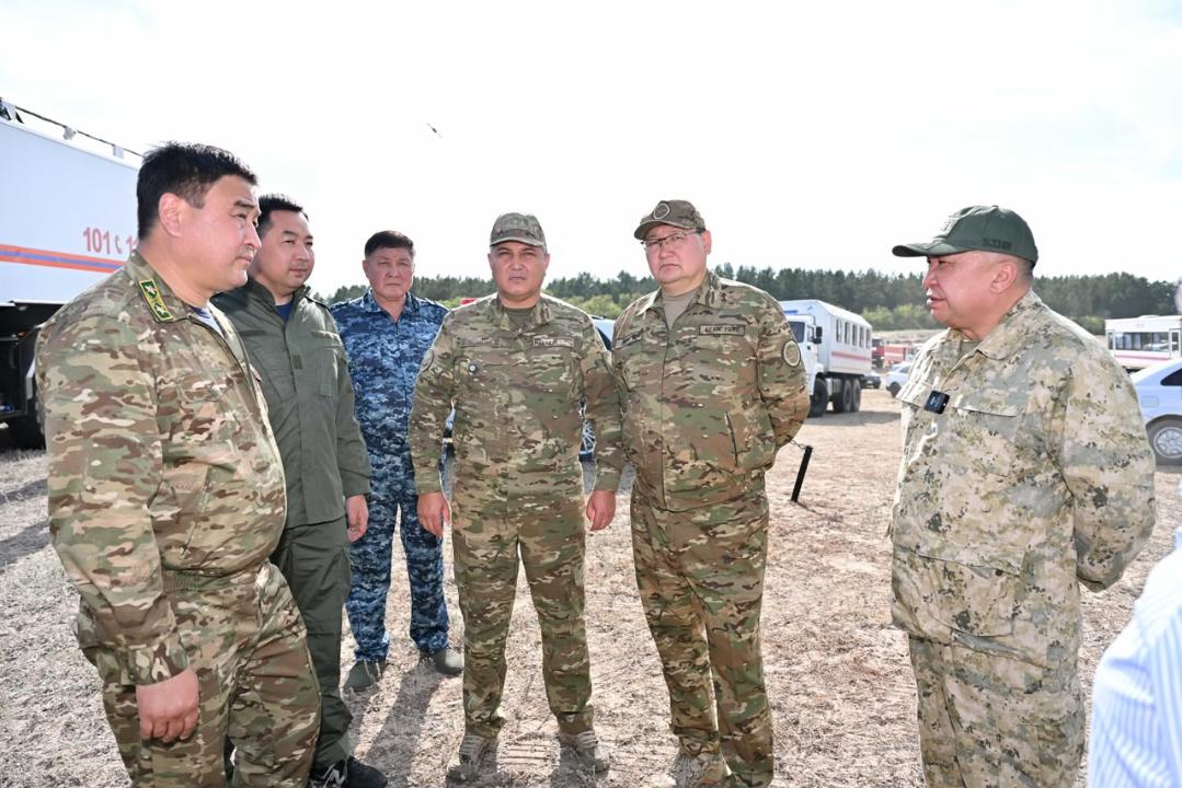 Лесной пожар в области Абай: Берик Уали прибыл в Бородулихинский район