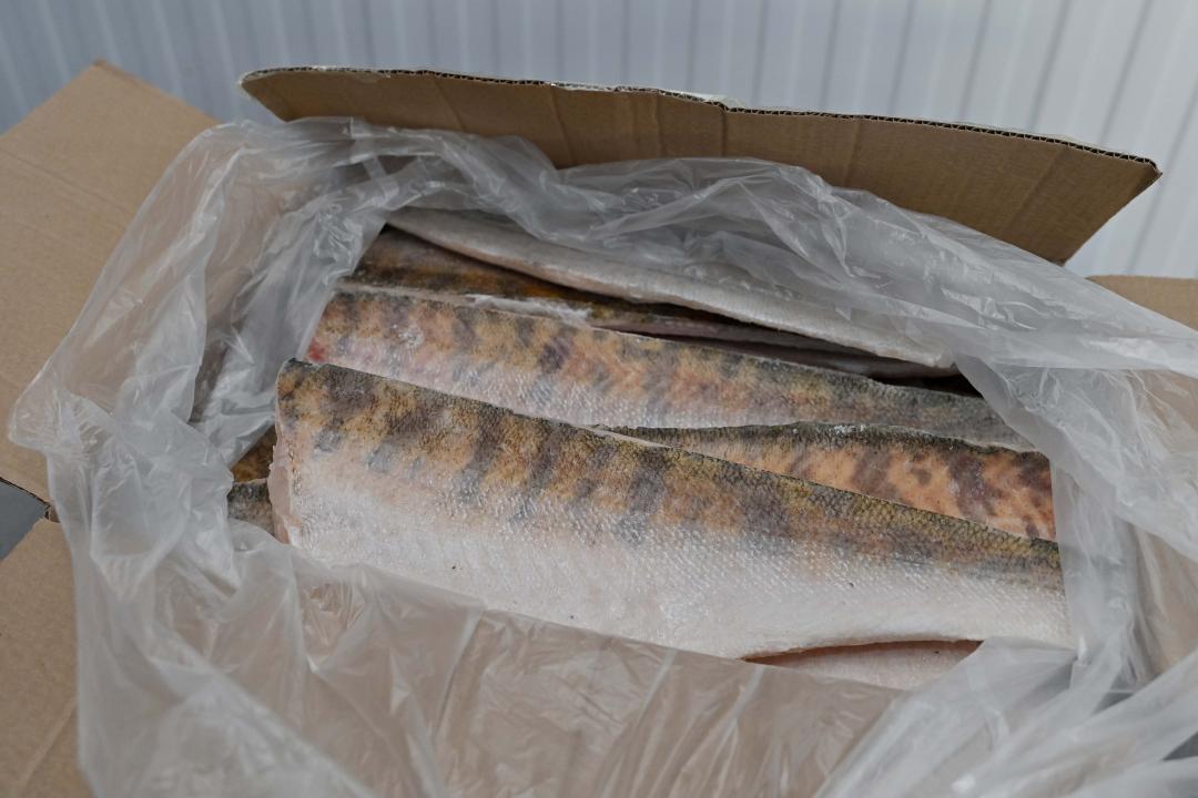 Рыбоперерабатывающий цех в Тассае поставляет продукцию на рынок Европы