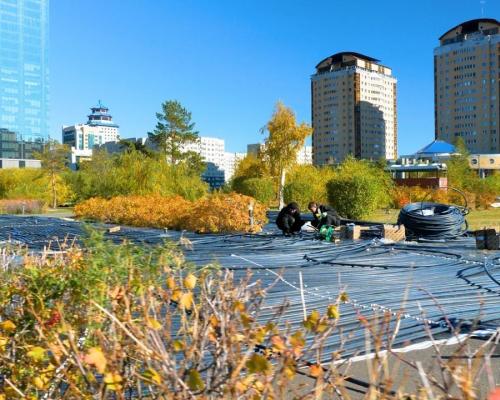 В Астане планируют открыть ледовый парк с маршрутом длиной 1,4 км