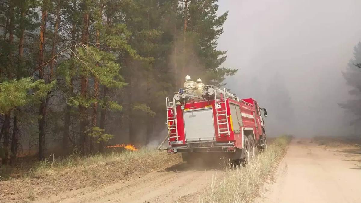 Около 300 человек тушили природный пожар в Акмолинской области