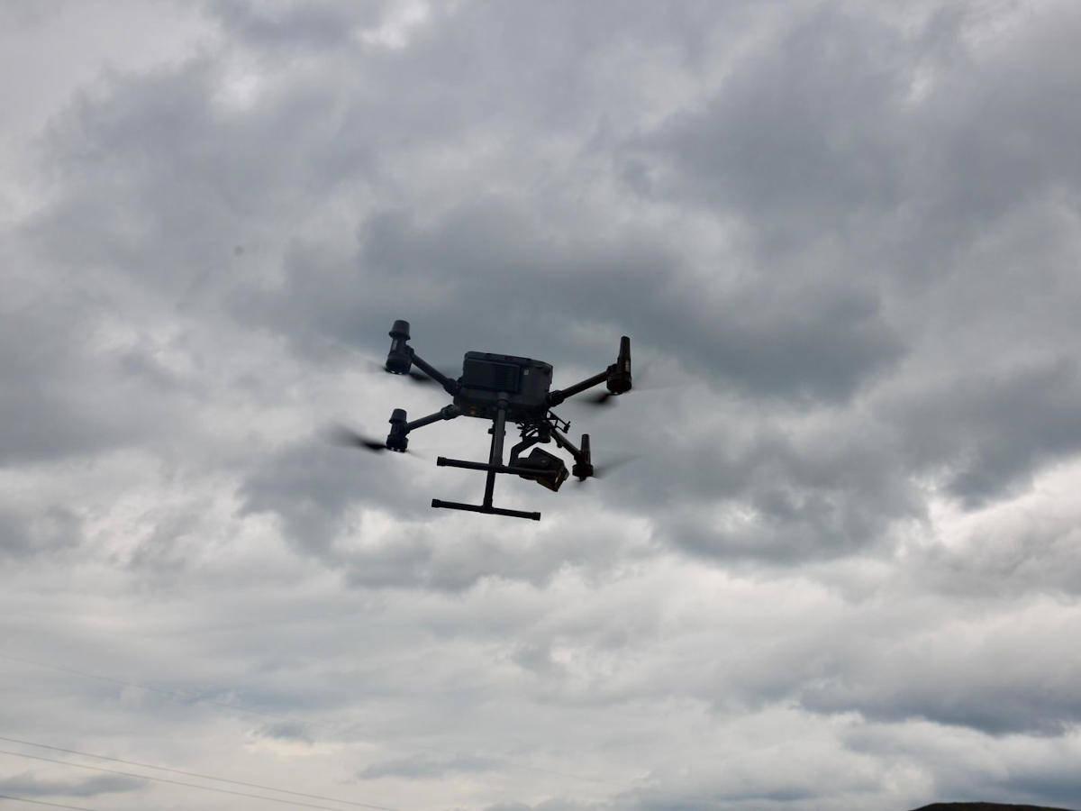 В Усть-Каменогорске полицейские с помощью дронов выявляют бесхозных сельхозживотных 