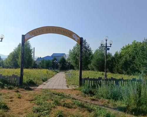 В парке Ветеранов в Риддере цветы на клумбах придётся высаживать заново