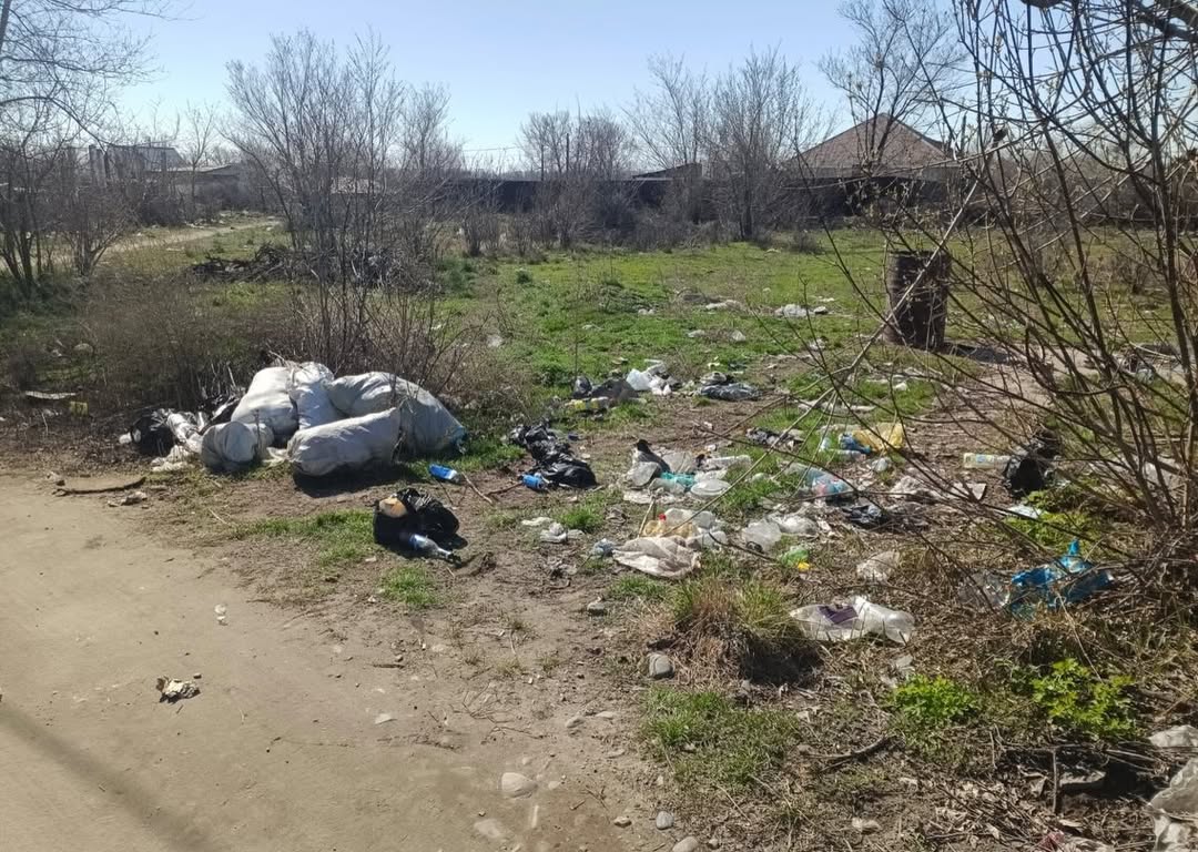 Субботники в Семее и области Абай: к акции присоединяются районы и пригороды