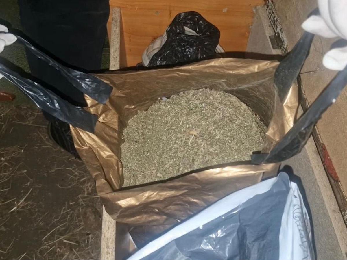 Тайник под стулом: у жителя ВКО изъяли более 1,7 килограмма марихуаны