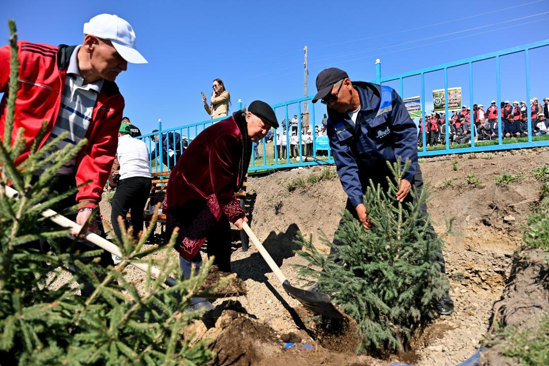 В Жарминском районе благоустроили священный источник и высадили ели