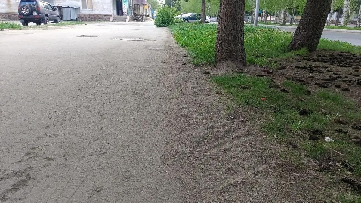 Когда с дорог и тротуаров Риддера после зимы уберут пыль и песок