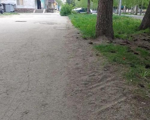 Когда с дорог и тротуаров Риддера после зимы уберут пыль и песок
