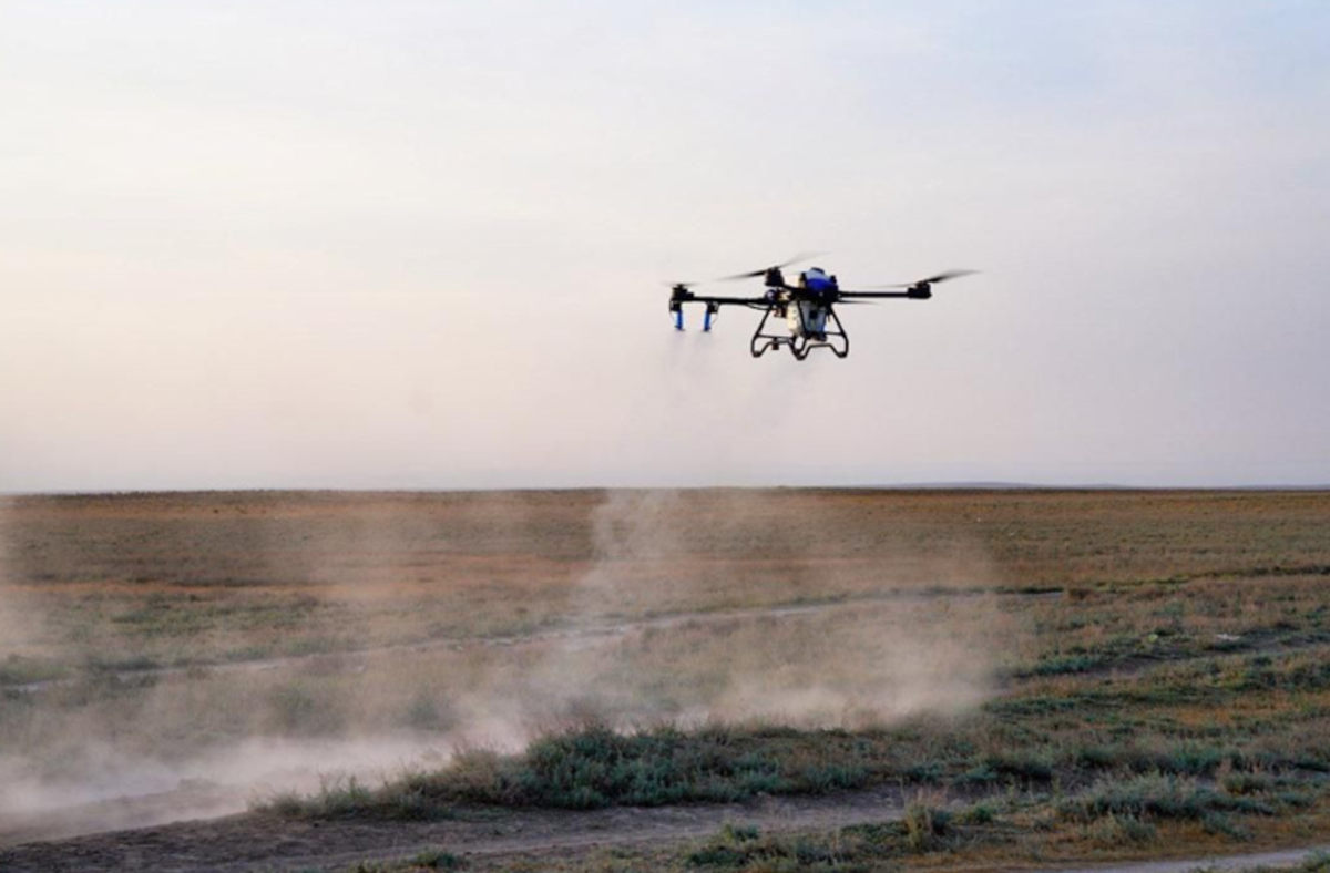 Казахстан подключает технологии: 46 дронов против саранчи