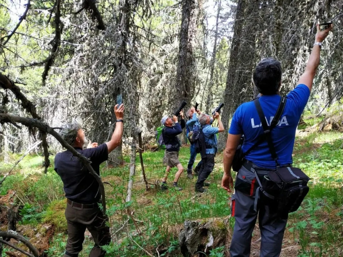 В ВКО прогнозируют двукратный рост туристического потока