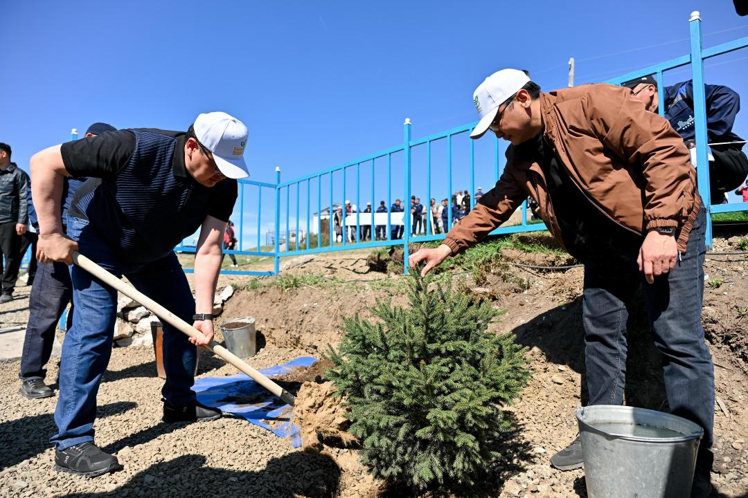В Жарминском районе благоустроили священный источник и высадили ели