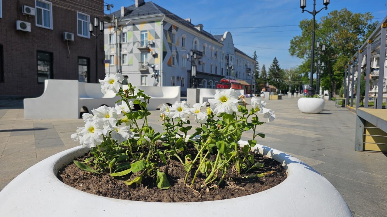 В Усть-Каменогорске на высадку цветов выделили 256 миллионов