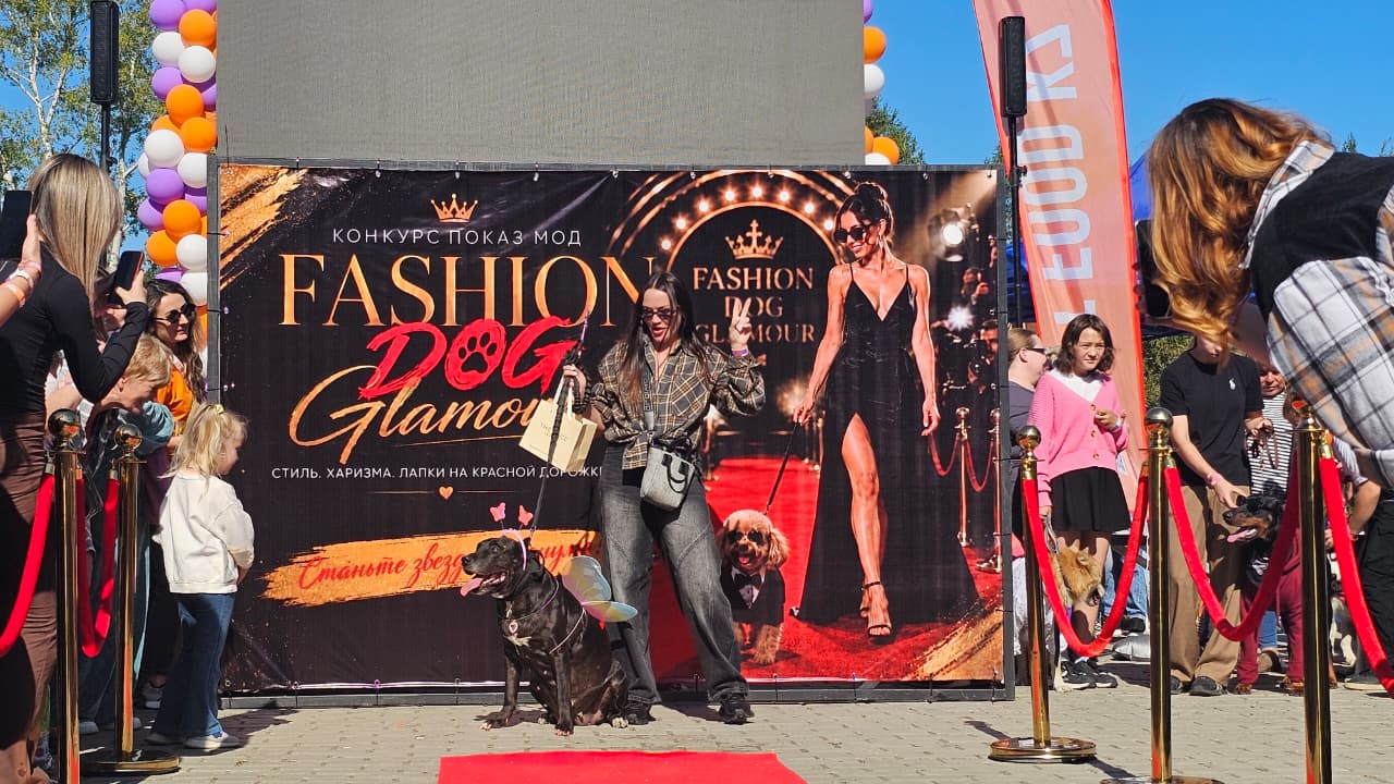 Собаки, конкурсы и помощь приютам: как прошёл PET DOG FEST 2026