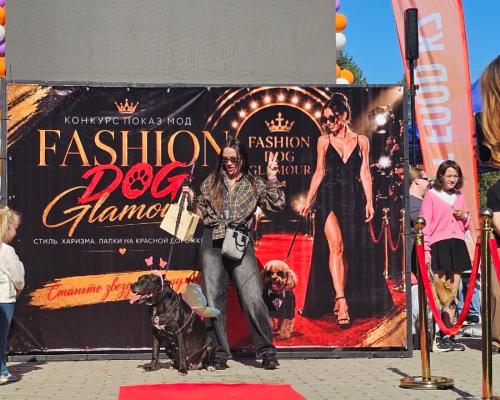 Собаки, конкурсы и помощь приютам: как прошёл PET DOG FEST 2026