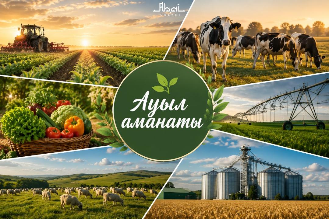 На развитие сельского бизнеса в области Абай дополнительно направят 4,5 млрд тенге