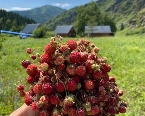 ВКО. База отдыха "Слияние" предлагает...