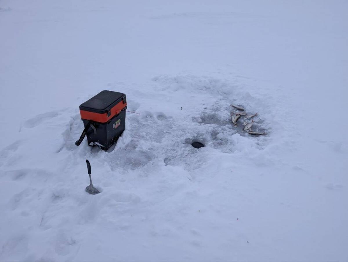 В ВКО на Бухтарминском водохранилище пройдет республиканский фестиваль подледного лова