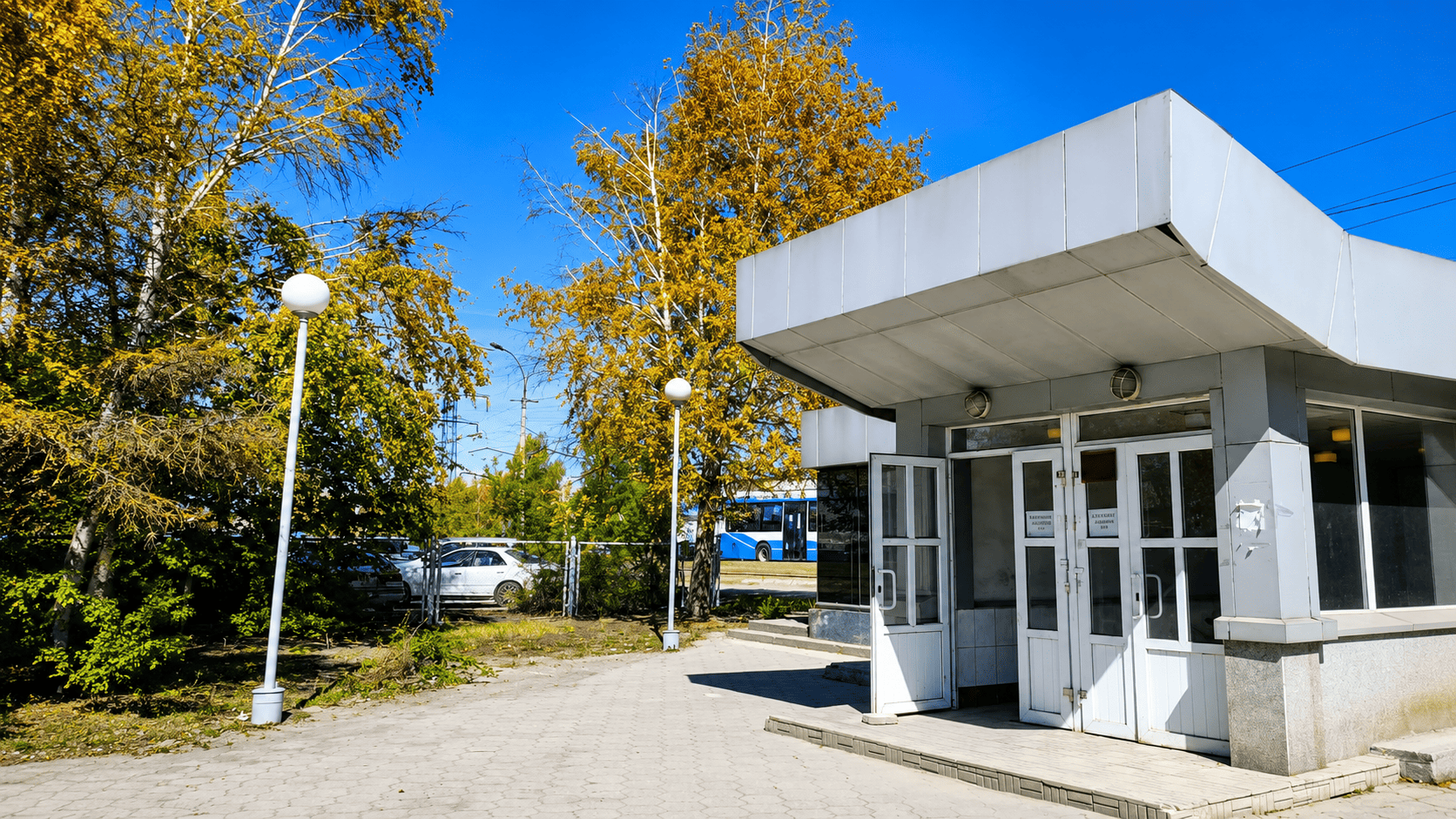 Экологи изучают причину пожелтения листвы в Усть-Каменогорске