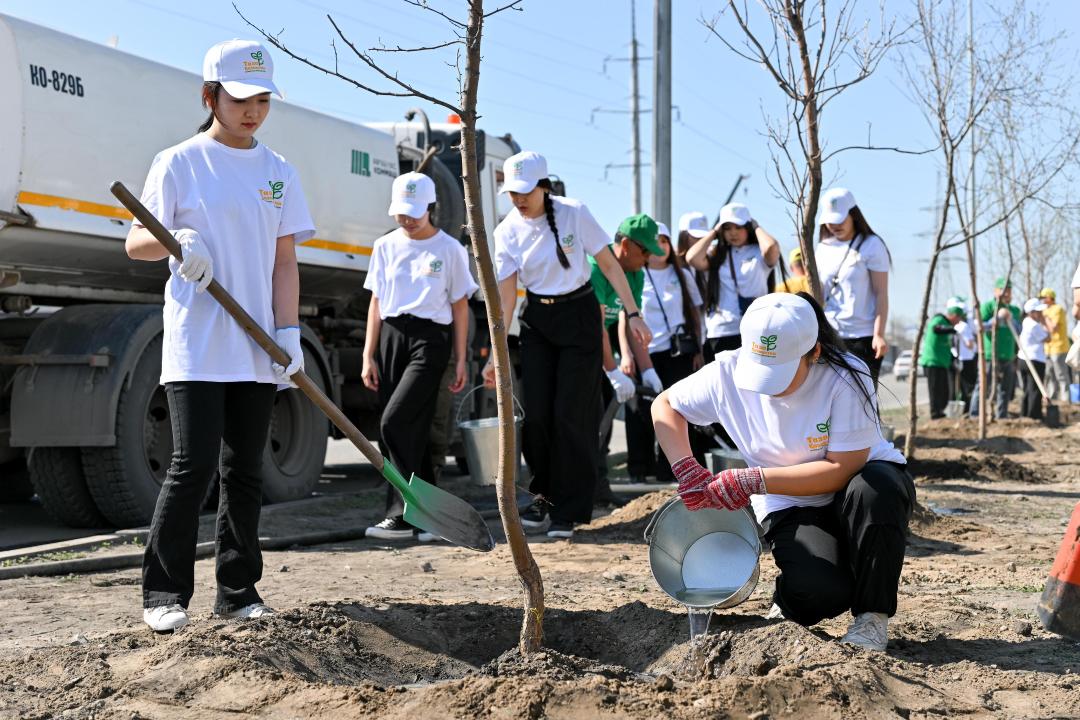 В Семее стартовало масштабное озеленение: план — 2200 деревьев