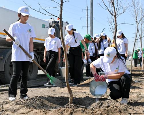 В Семее стартовало масштабное озеленение: план — 2200 деревьев