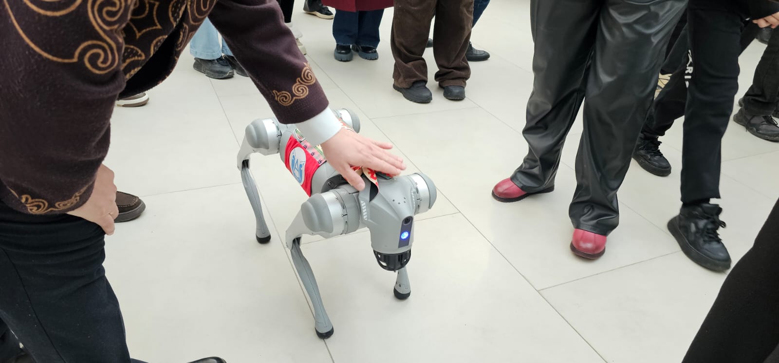 В Усть-Каменогорске проходит выставка цифровых проектов