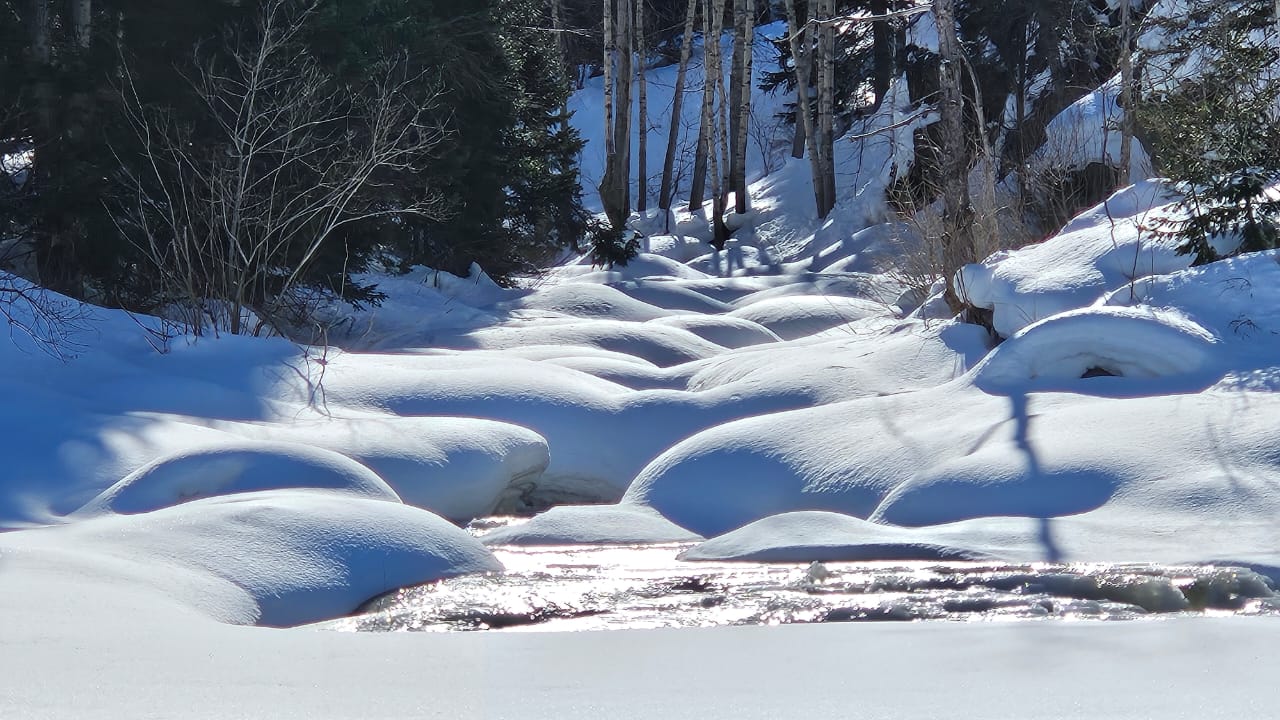 После сильных морозов в ВКО стали доступны маршруты по руслу Горной Ульбы