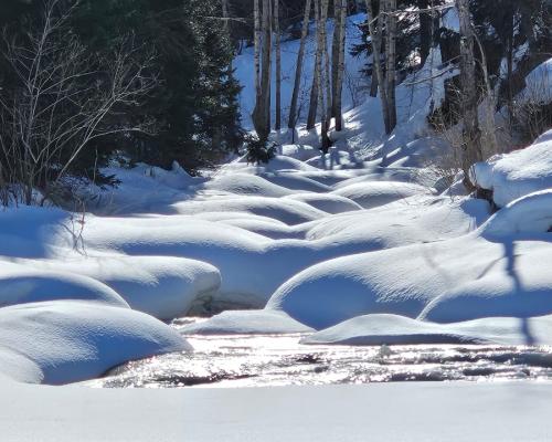После сильных морозов в ВКО стали доступны маршруты по руслу Горной Ульбы