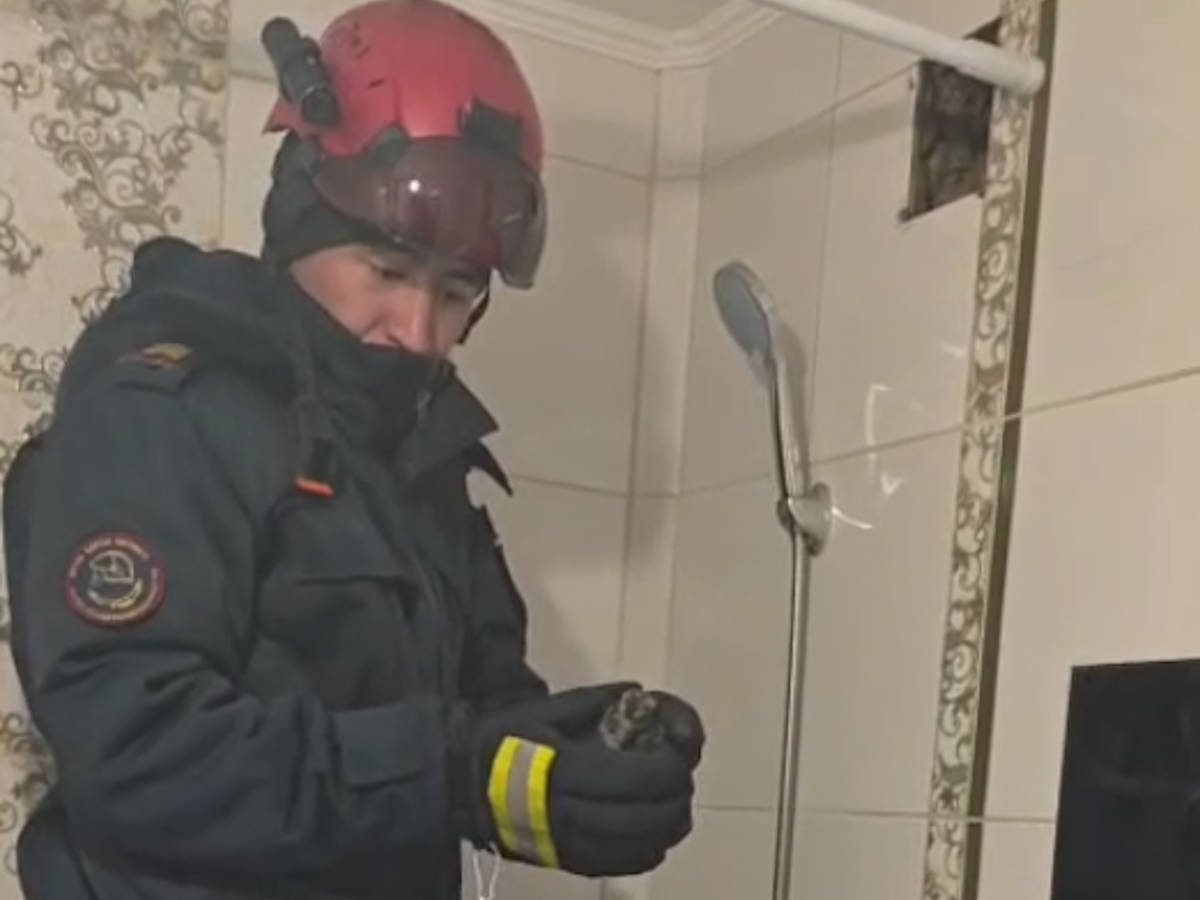 В Усть-Каменогорске спасатели достали из вентиляционной шахты голубя