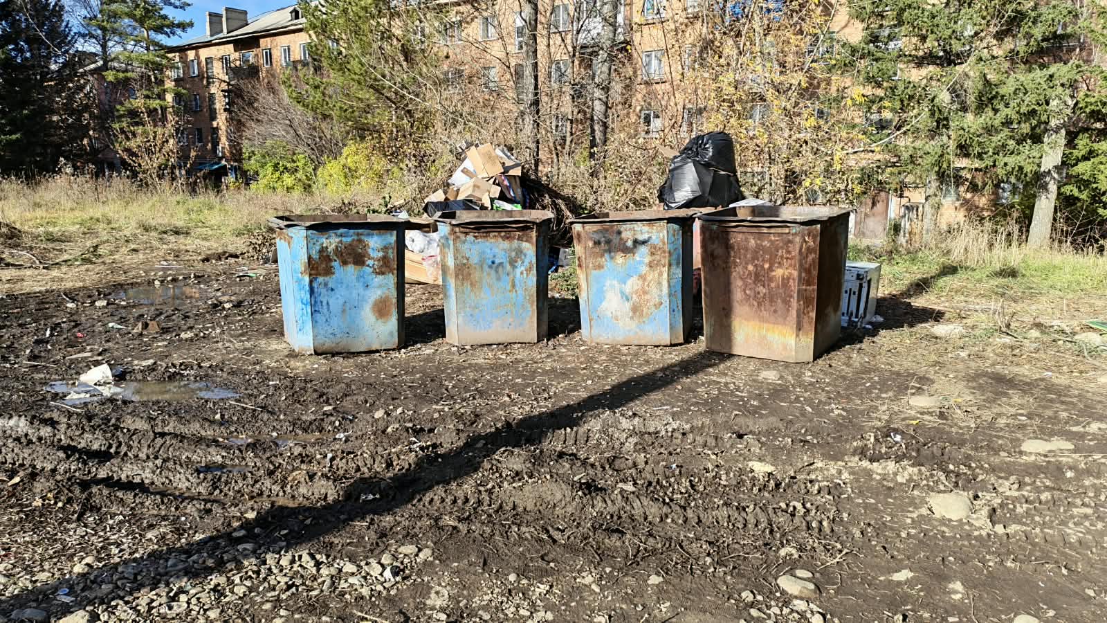 Жители Риддера жалуются, что не могут подойти к мусорным бакам из-за грязи