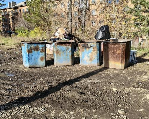 Жители Риддера жалуются, что не могут подойти к мусорным бакам из-за грязи