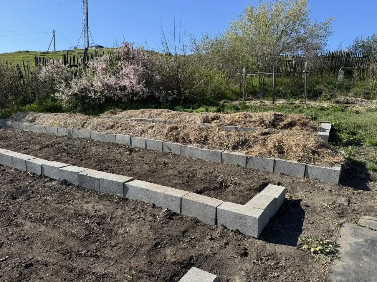 Как калифорнийские черви помогают семье из района Алтай заработать на биогумусе