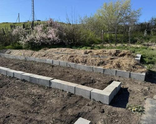 Как калифорнийские черви помогают семье из района Алтай заработать на биогумусе