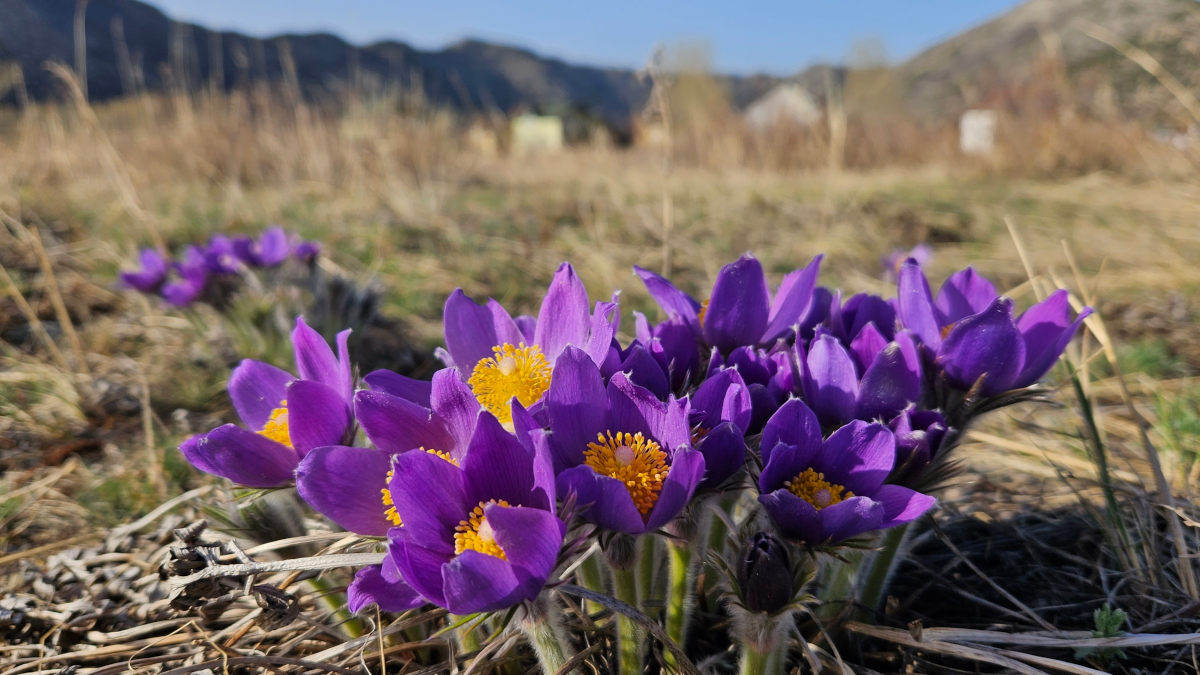 Какая погода ожидается в ВКО, в том числе в Усть-Каменогорске, в выходные?