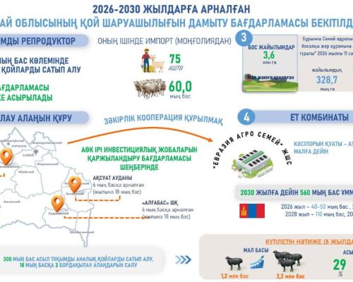 Новые фермы, заводы и водохранилища: планы АПК области Абай