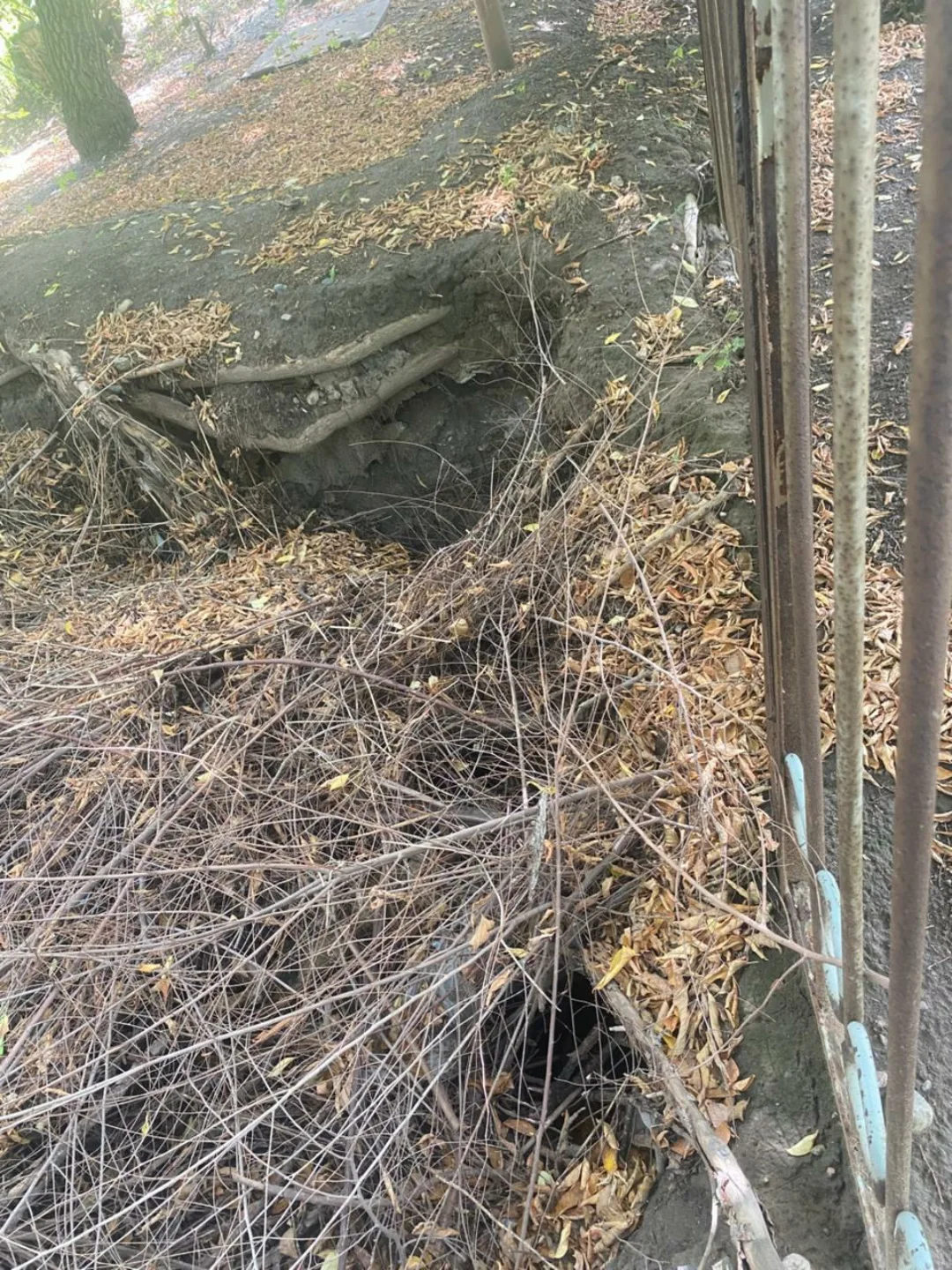 В Усть-Каменогорске рядом со школами находятся обрушившиеся погреба и заброшки